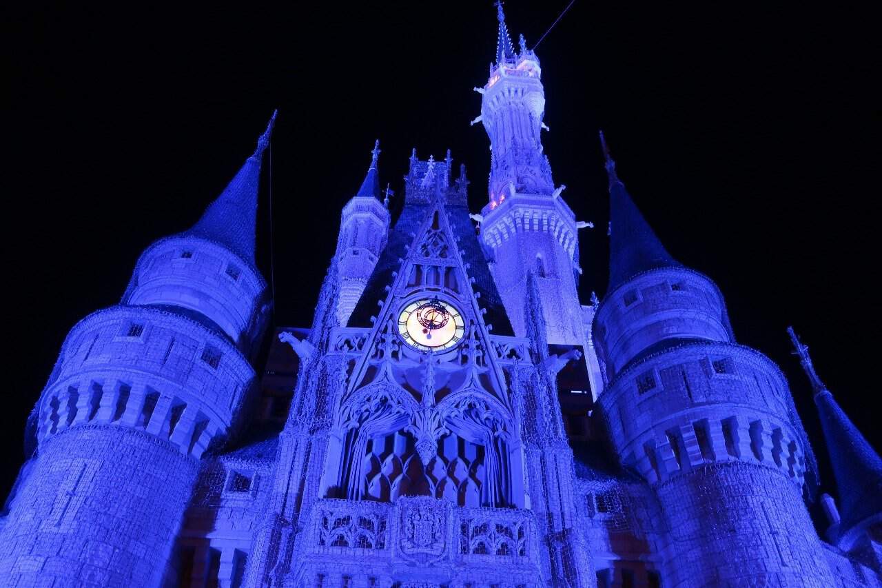 WDW Cover